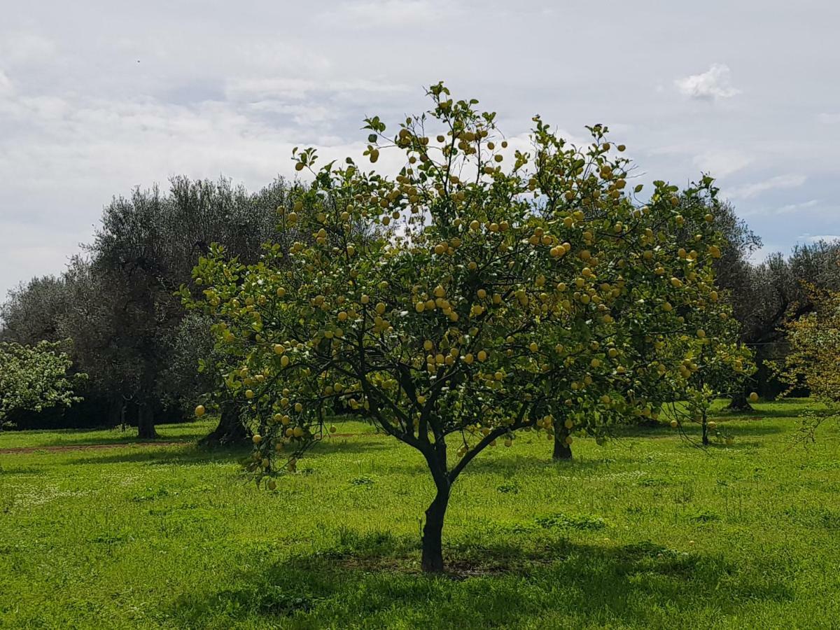 Masseria Pisciani Torchiarolo Exterior photo